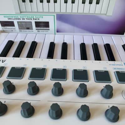 Arturia MiniLab MkII 25-Key MIDI Controller 2017 - Present - White image 3
