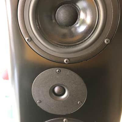 Salk SongTower QWT  Speakers image 8