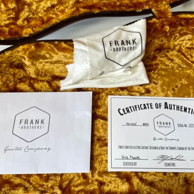 Frank Brothers Arcade 2019 Copper Top / Natural McNelly Pickups image 11