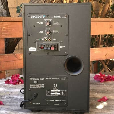 Energy ES-8 SUBWOOFER 8" Woofer 100 W/RM Energy ES-8 SUBWOOFER 8" Woofer 100 W/RMS Bass Reflex Made In Canada. Tested!! image 2