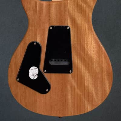 Paul Reed Smith SE Custom 24 '22 image 4