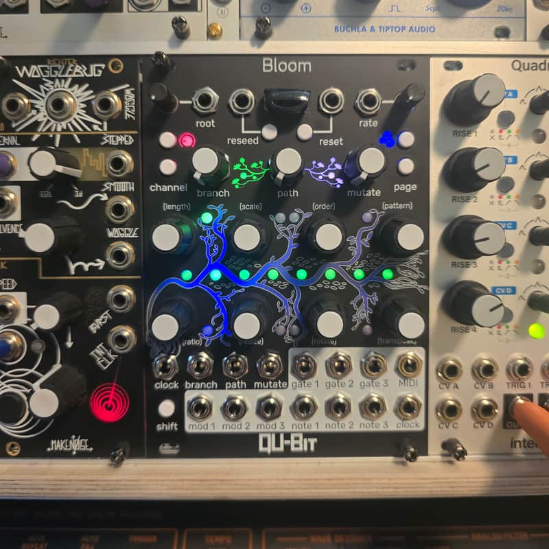 Qu-Bit Electronix Bloom v2