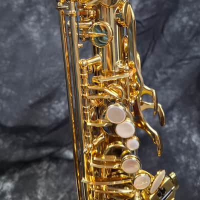 NO TARIFFS - Selmer Reference 54 Hummingbird Charlie Parker Edition Alto Saxophone image 5