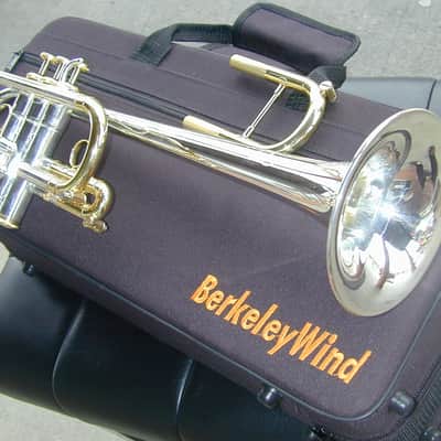 Berkeleywind C / Db Trumpet image 4