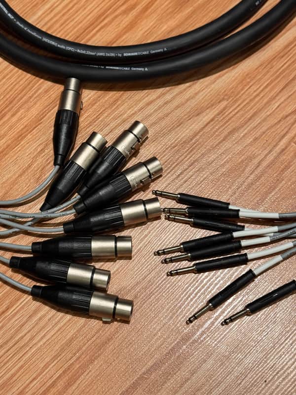 Sommer Snake Cable 12' XLR F to TT 8 channel image 1
