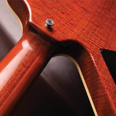 Gary Moore Owned 1984 Hamer Explorer #0731 Natural | Hamer Standard w/One-Piece Flame Honduras Mahogany Back, Flame Maple Top, Honduras Mahogany Neck, Scimitar Headstock w/Rare Flame Maple Veneer, DiMarzio PAF + Hamer Slammer Humbuckers & Sperzel Tuners image 16