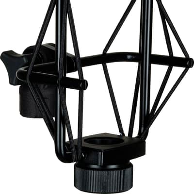 sE Electronics sE4400 Large Diaphragm Condenser Microphone image 5