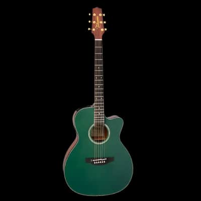 Takamine Limited Edition - Model LTD 2025 - Acoustic Guitar image 11