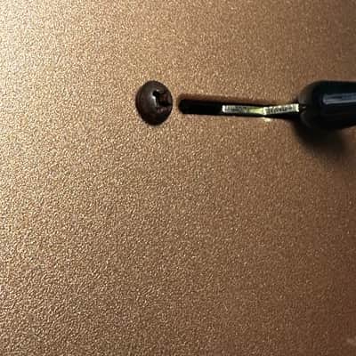 Abasi Guitars EMI 7 2025 Champagne image 3