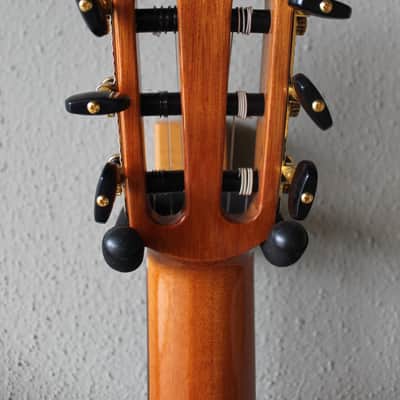Brand New Cordoba Stage Traditional Cedar Top Thinbody Nylon String Acoustic/Electric Guitar image 7