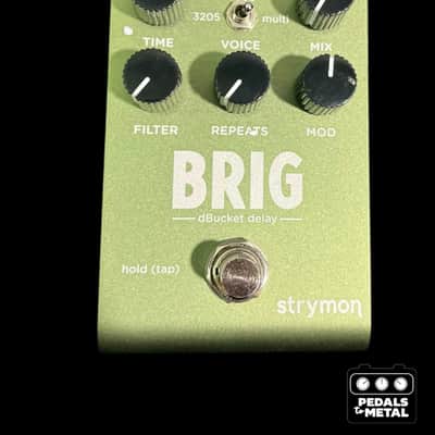 Strymon Brig dBucket Delay -x19064 image 1