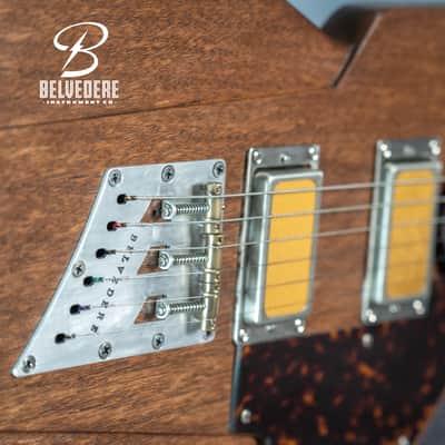 BELVEDERE - Viper (2024) - Dark Paprika image 6
