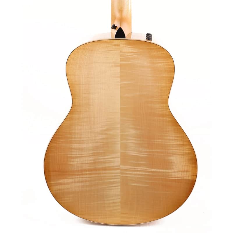 Taylor	GT 611e LTD image 4