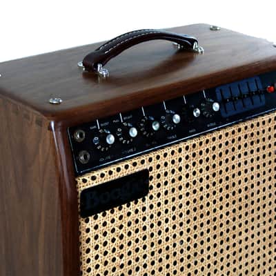 Rare Vintage Mesa Boogie Mark I 1975 Guitar Amp Combo Walnut EV 12L image 4