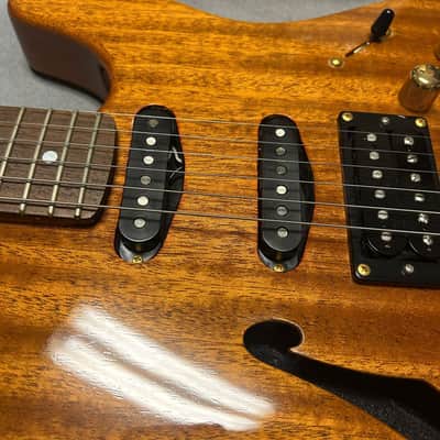 2003 Valley Arts USA Custom Pro - Gibson Era w/OHSC image 12