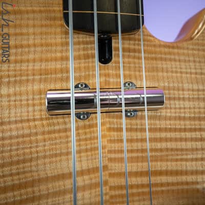 1990s Lakland Jerry Scheff Fretless Signature #003 image 20