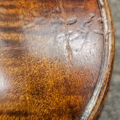 D Z Strad Viola - Model 700 - Viola Outfit Handmade by Prize Winning Luthiers (16" Inch) image 7