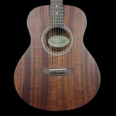 James Neligan DEV-A-MINI Deveron Mini Auditorium Acoustic Travel Guitar image 1