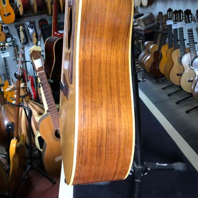 Très rare Washburn D-20 électro-acoustique fabriquée au Japon en 1984 par les ateliers Yamaki image 6