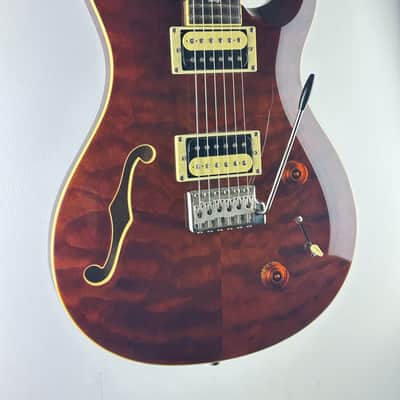 PRS SE Custom 22 Semi-Hollow Tortoise Shell 2019 Europe Exclusive LTD with bag image 3