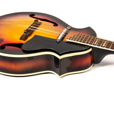 Kay Mandolin Owned by Mike Campbell image 14