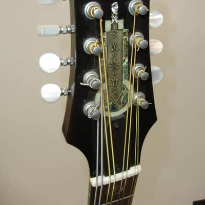 Vintage Acoustic Mandocello Archtop, Vintage Sunburst with Case image 12