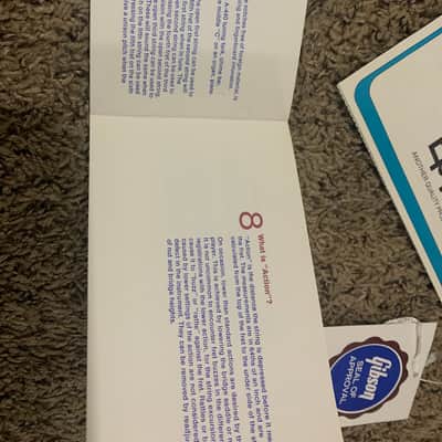 Epiphone Guarantee Package image 4