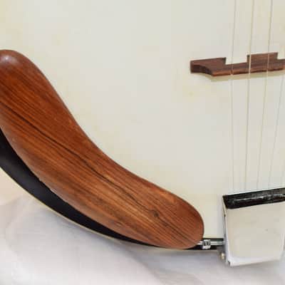 Vintage 70's Lark LBJ-25 Closed Back 5-String Banjo image 4