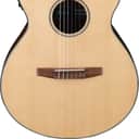 Ibanez - AEG50NNT - EL AC GTR