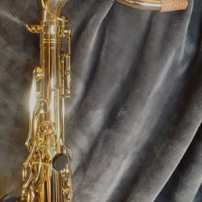 Selmer  Giardinelli GTS-12 Series - MINT - Ready for Owner image 10