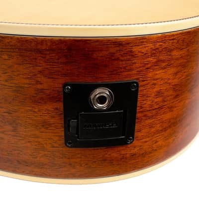 Gold Tone Festival Series GT-Dread: Acoustic/Electric All Solid Wood with Bag image 3