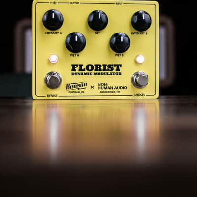Benson Amps / Non-Human Audio Florist Dynamic Modulator image 5