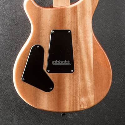 Paul Reed Smith SE Custom 24 '21 image 4