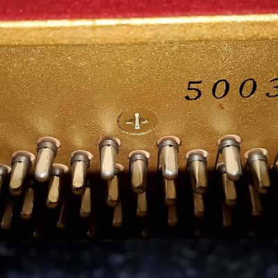 Yamaha P116 1991 - Polished Ebony image 5