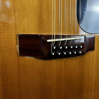 Segovia Sessions Series 12-String 1970's W/HSC image 8