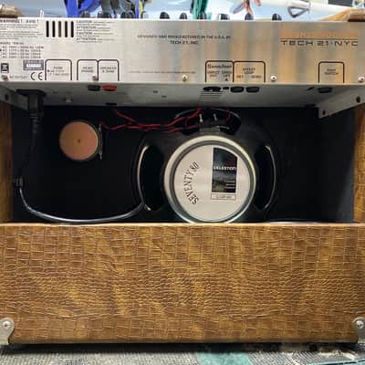 Tech 21 Bronzewood 60 - Acoustic Combo image 2