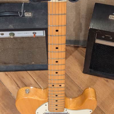 Fender Telecaster Thinline 1973 - Natural image 7