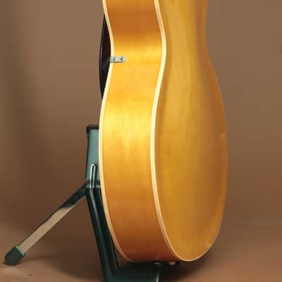 Epiphone ZENITH image 5