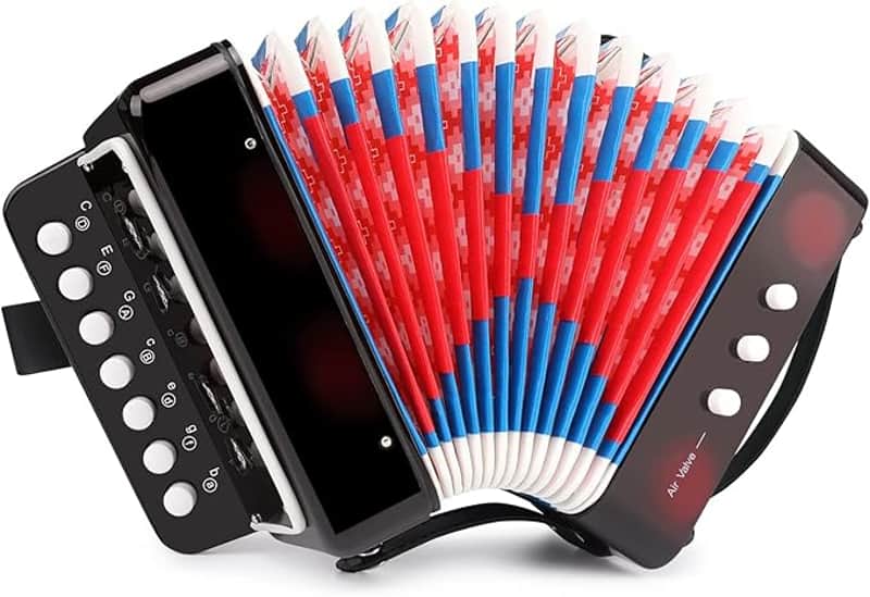 Kids Accordion, 10 Keys Control Mini Accordion Toy Gifts Easy to Play for kids Children Beginners Lightweight Musical Instrument Developmet Fit for 3 years and over(black) image 1