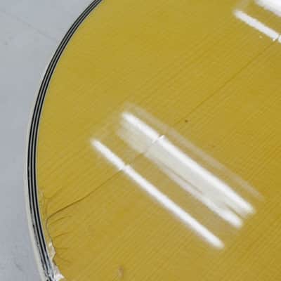 Epiphone Chet Atkins SST 6-String Acoustic Electric Guitar image 7