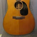 1968 Brazilian Martin D-21