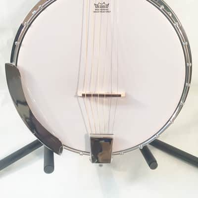 Danville 6-String Banjo-Model BJ-006-Banjitar-NEW-Shop Setup Included! image 2