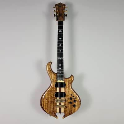 2009 Alembic Darling - Zebrawood With OHSC image 5