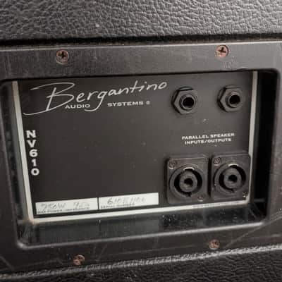 Bergantino NV610 - Tolex image 2