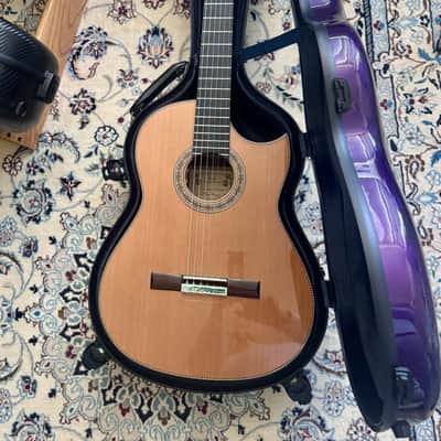 Juan Montes Rodríguez Flamenco 1ª Negra Exclusive Cutaway + LR Baggs Installed 2025 image 18