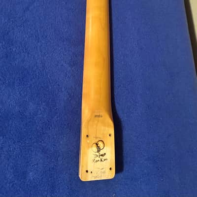 Ron Kirn USACG Tele Neck Texas Blues Profile image 2