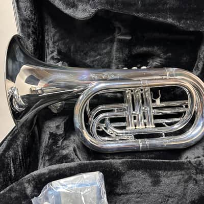 Eastman EMB411 2022 - Silver Plated image 4