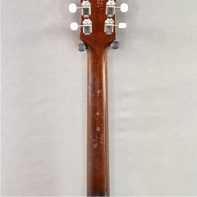 Epiphone Sorrento 1966 image 8