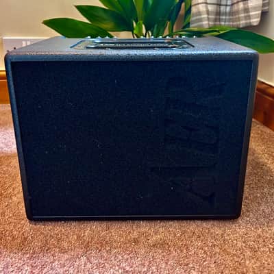AER Compact 60 Mk4 - Professional Compact 60 Mk4 Acoustic Guitar Amplifier with Case image 2