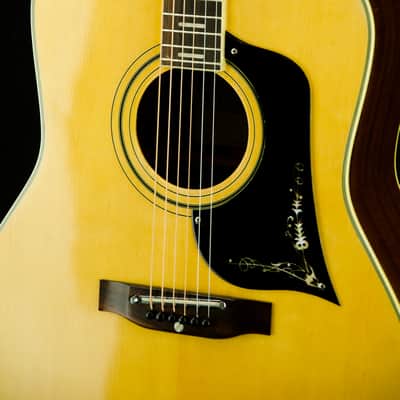 Vintage Gamma Acoustic Guitar 150F, Japan Made image 8